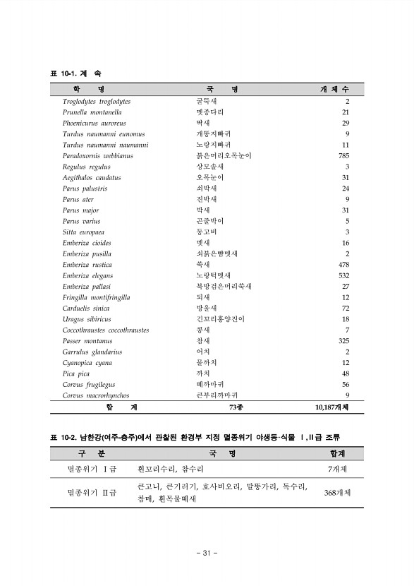 31페이지