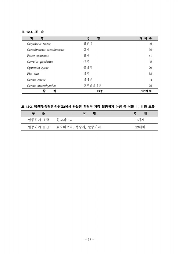 37페이지