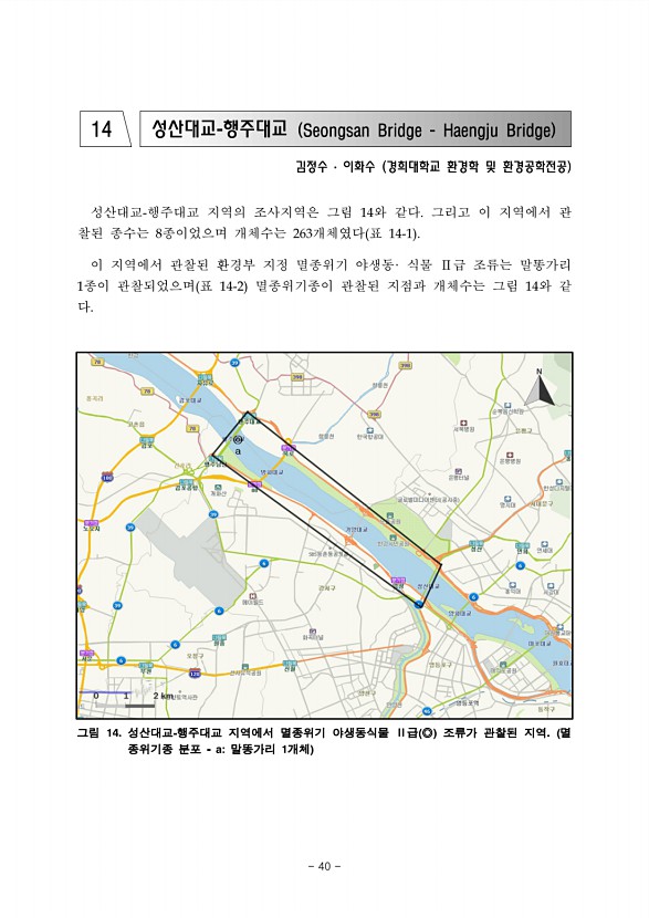 40페이지