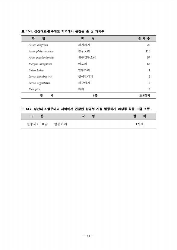41페이지
