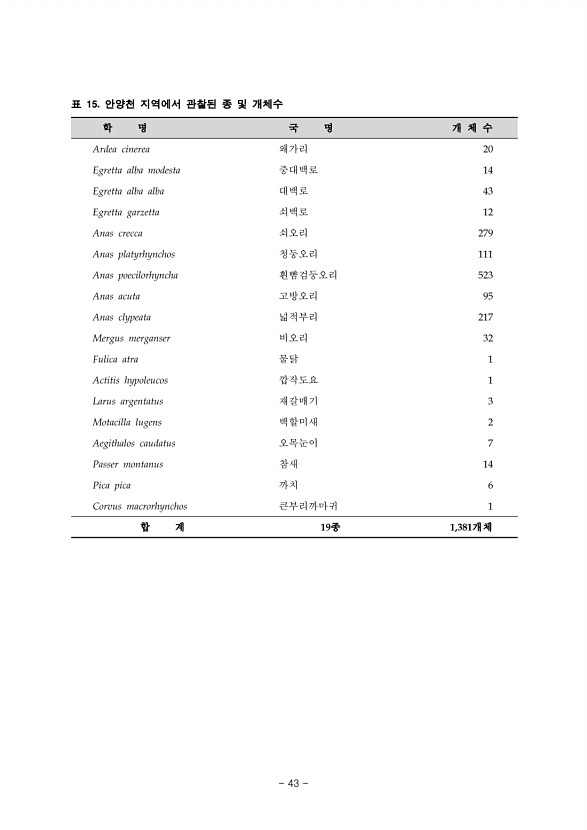 43페이지