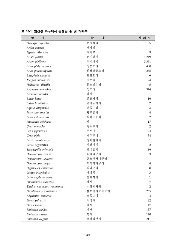 49페이지