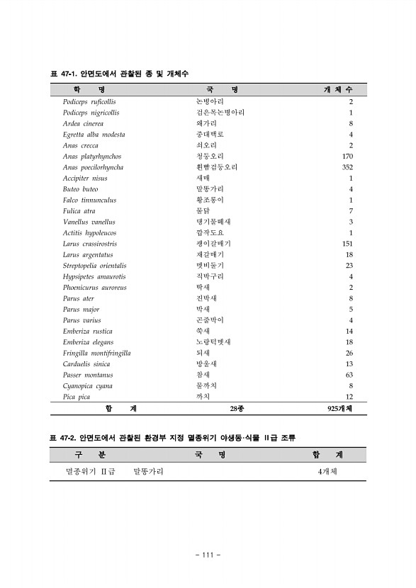 111페이지