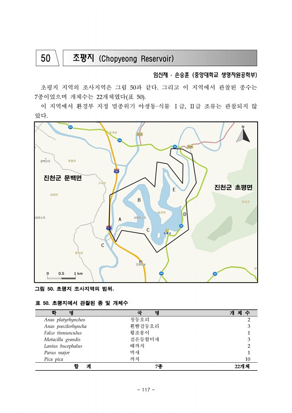 117페이지