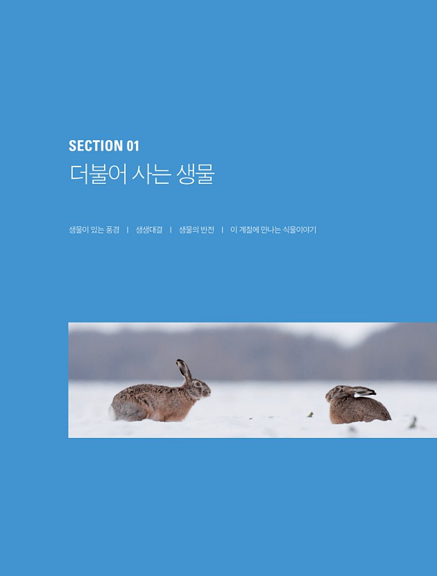 페이지