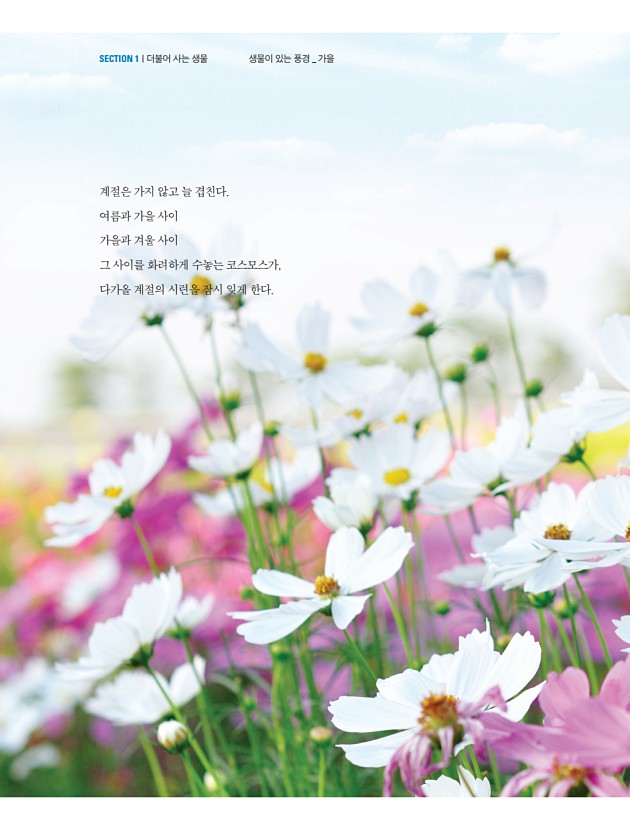 5페이지