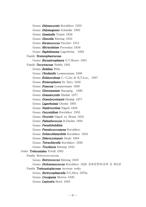 40페이지