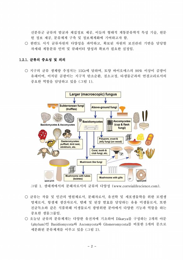 2페이지