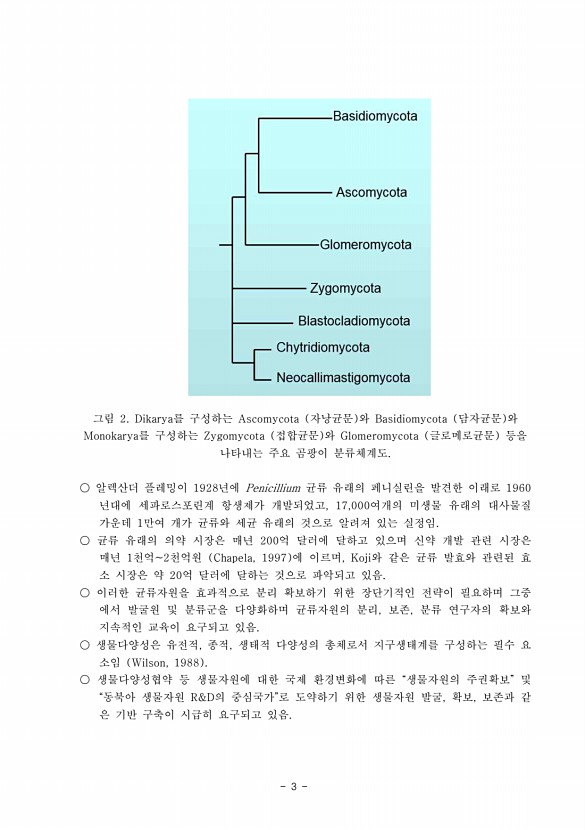 3페이지