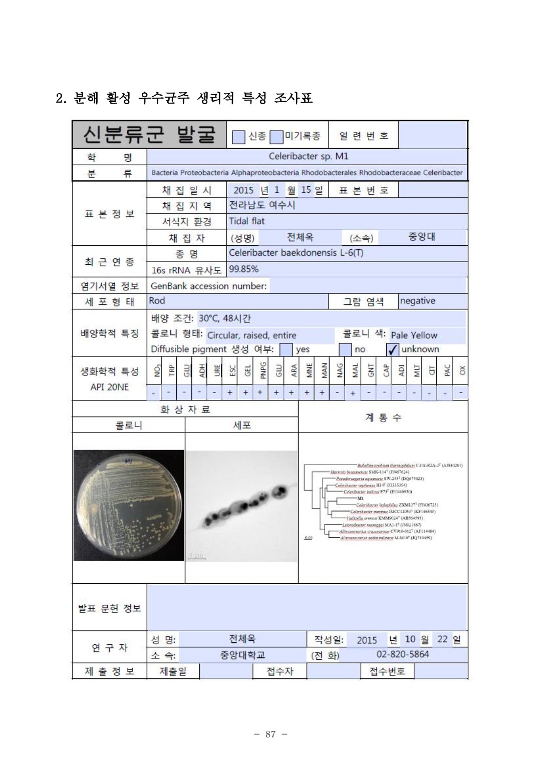 페이지