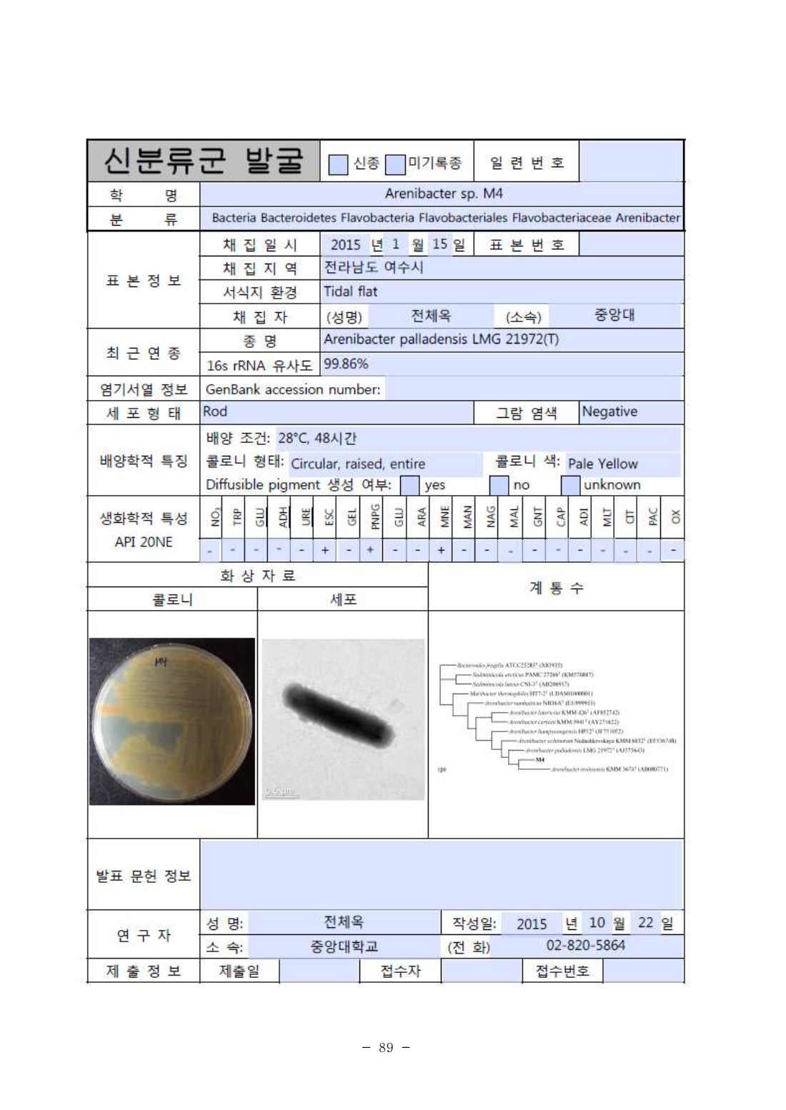 페이지