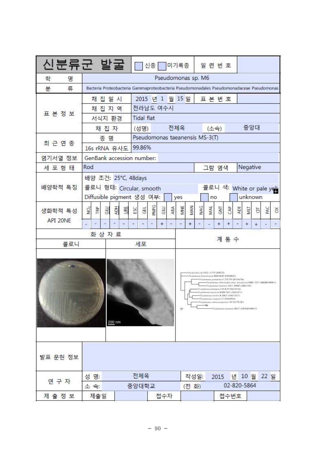 페이지