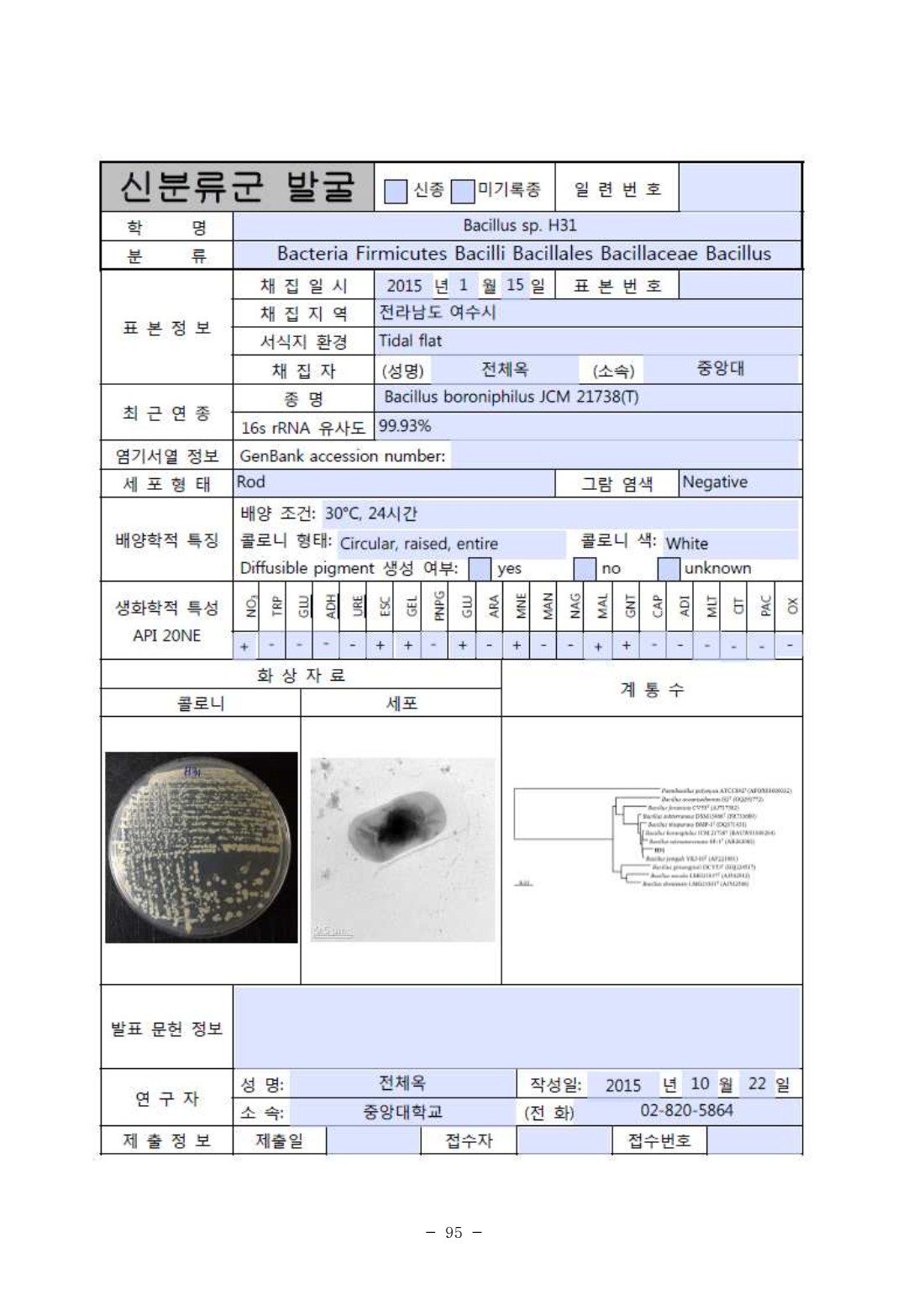 페이지