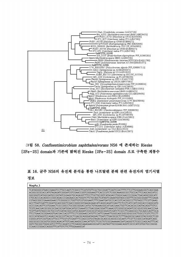 74페이지