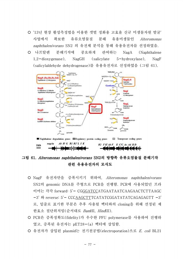 77페이지