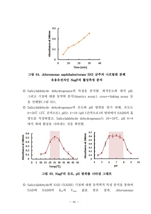 80페이지