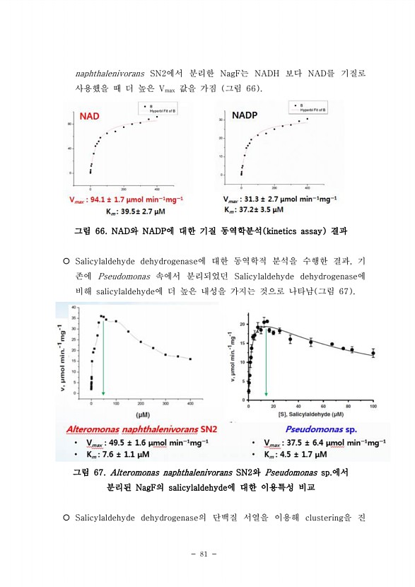 81페이지