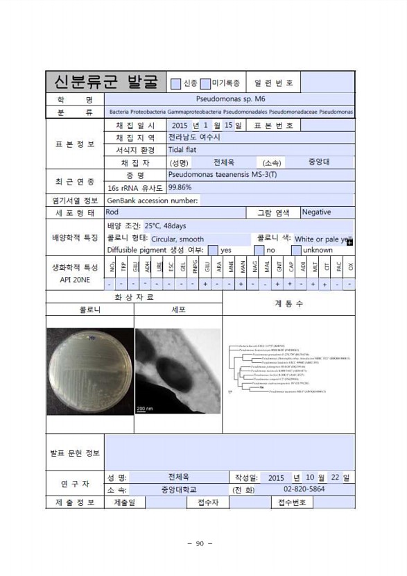 90페이지