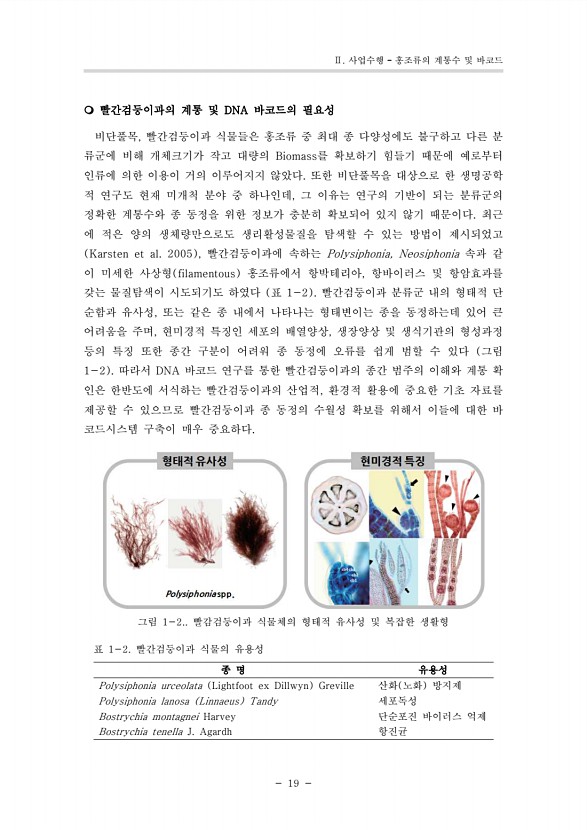 5페이지