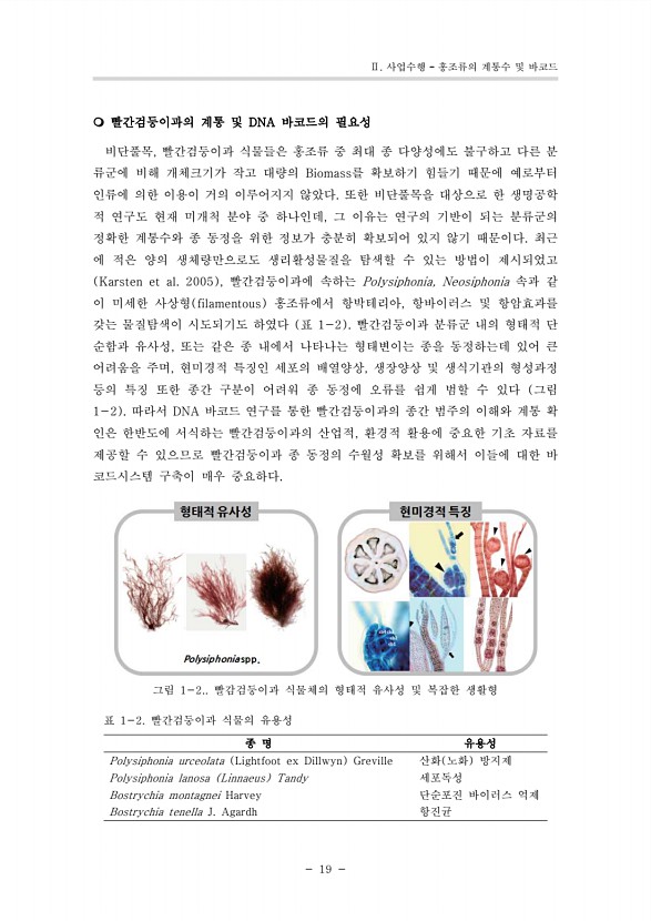 12페이지