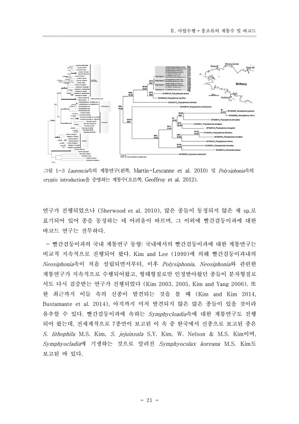 14페이지