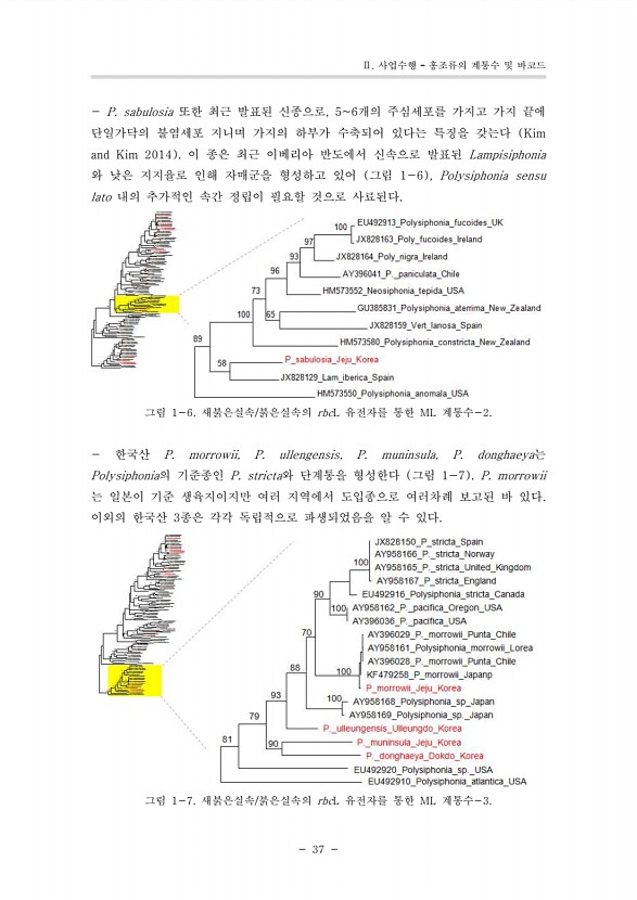 29페이지