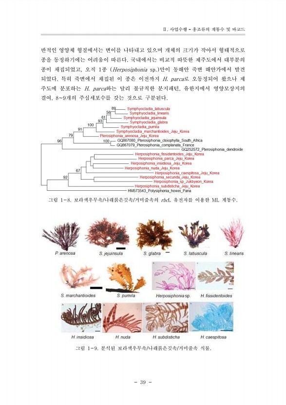 27페이지