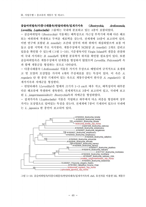 32페이지