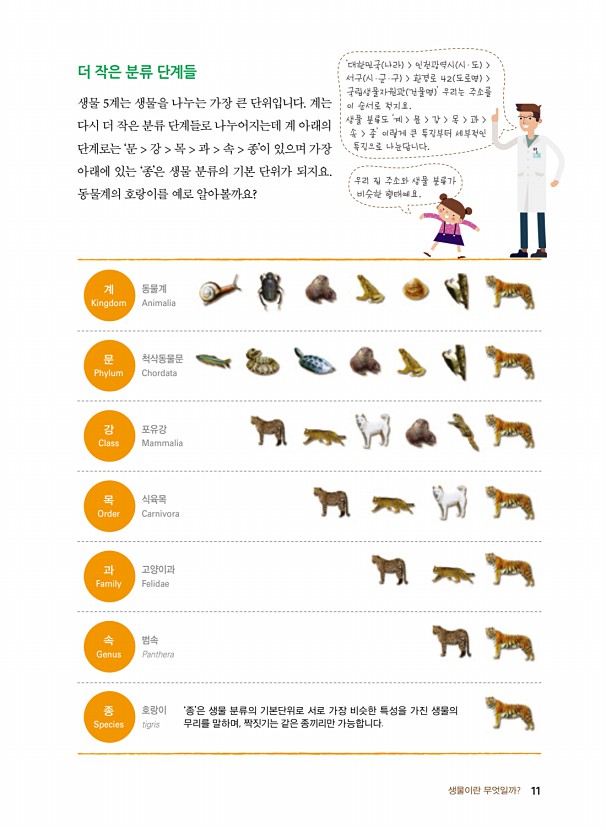 6페이지