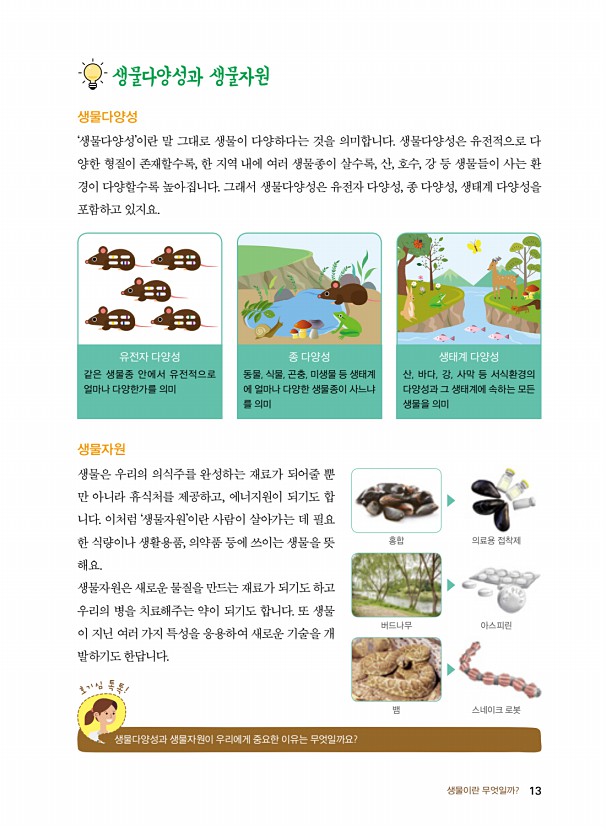 3페이지