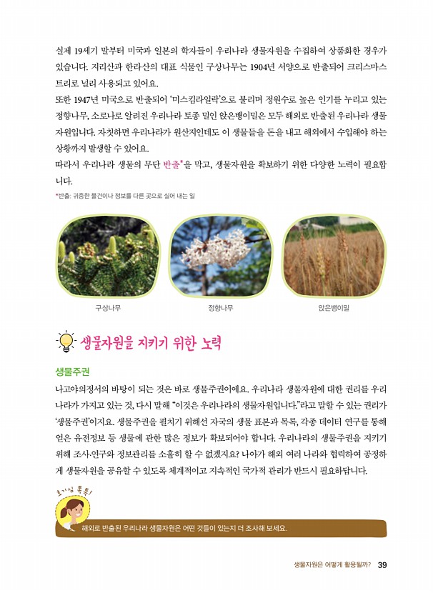31페이지