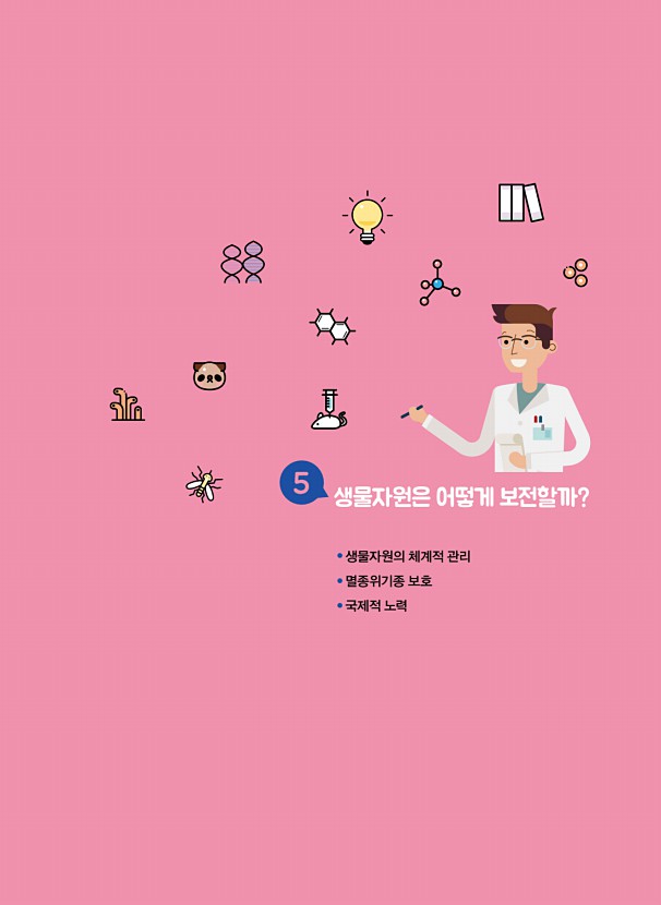 33페이지