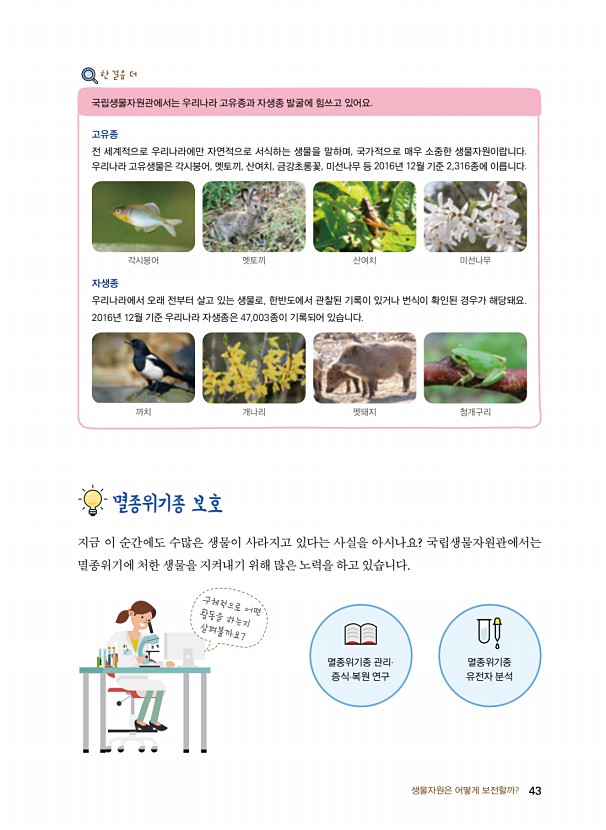 35페이지