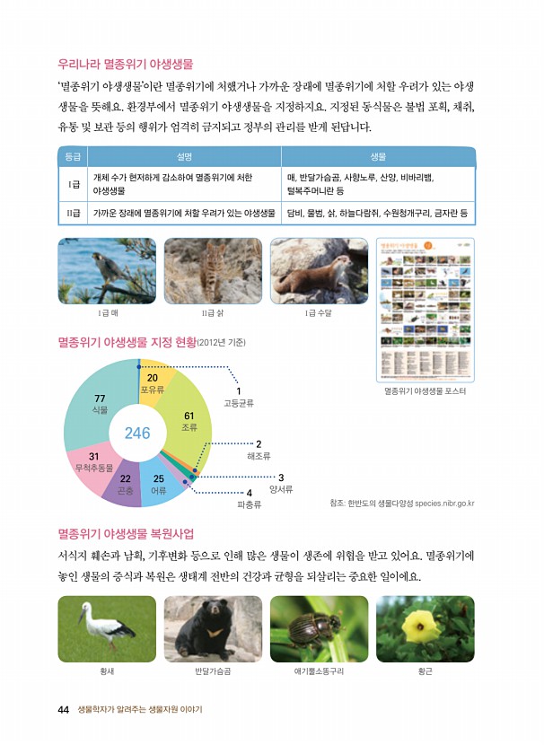 36페이지