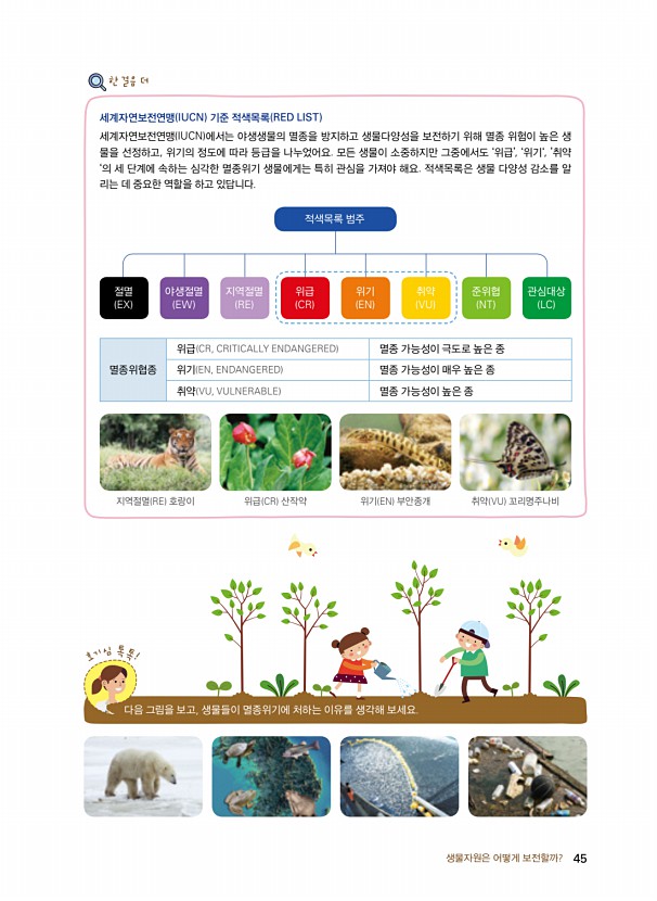 37페이지