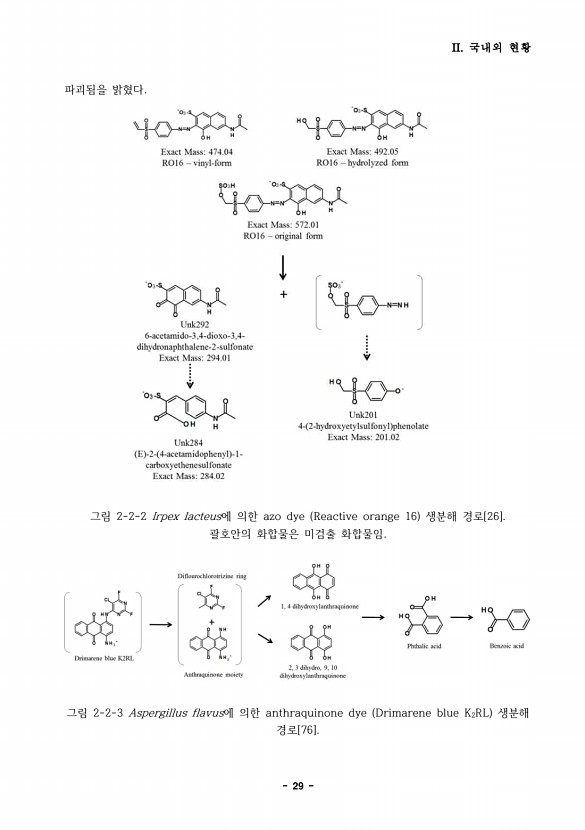 29페이지