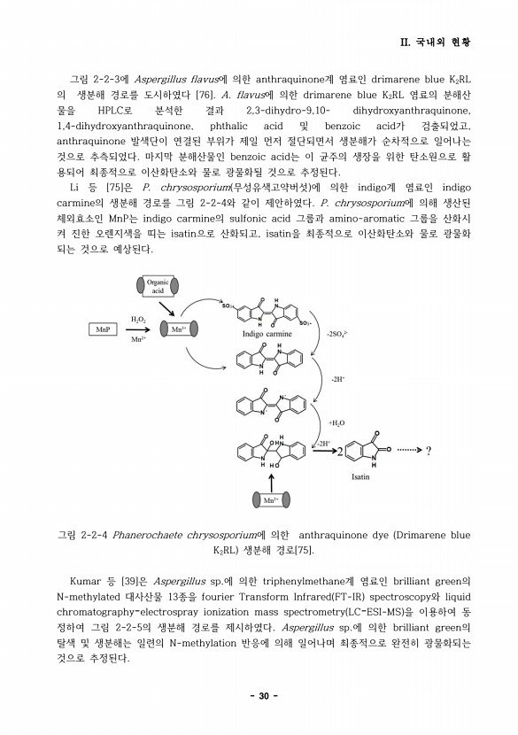 30페이지