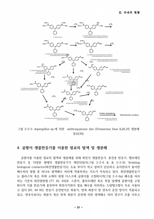 31페이지