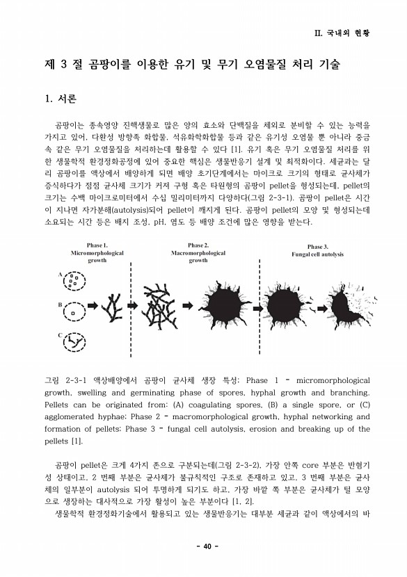 40페이지