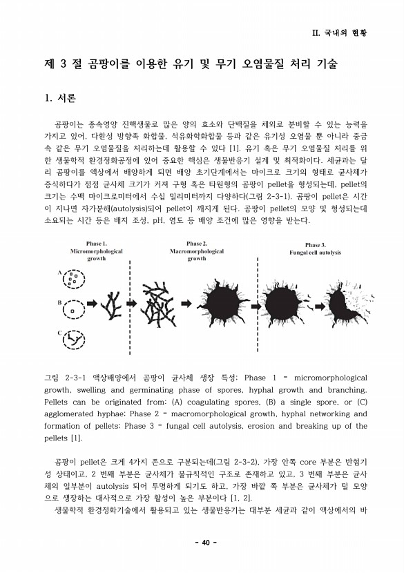 40페이지