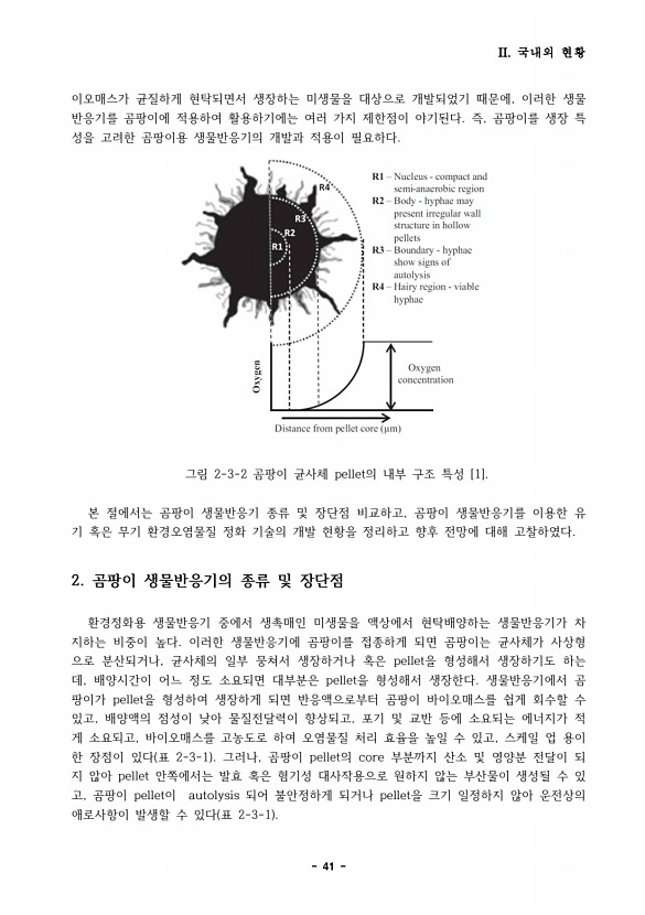 41페이지