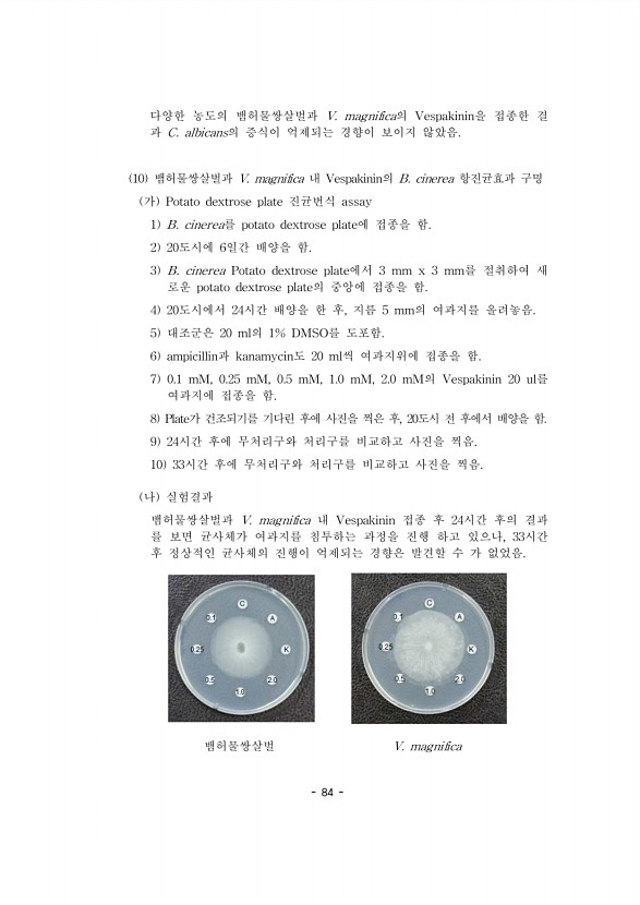 95페이지