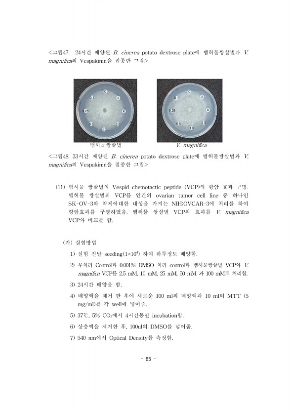 96페이지
