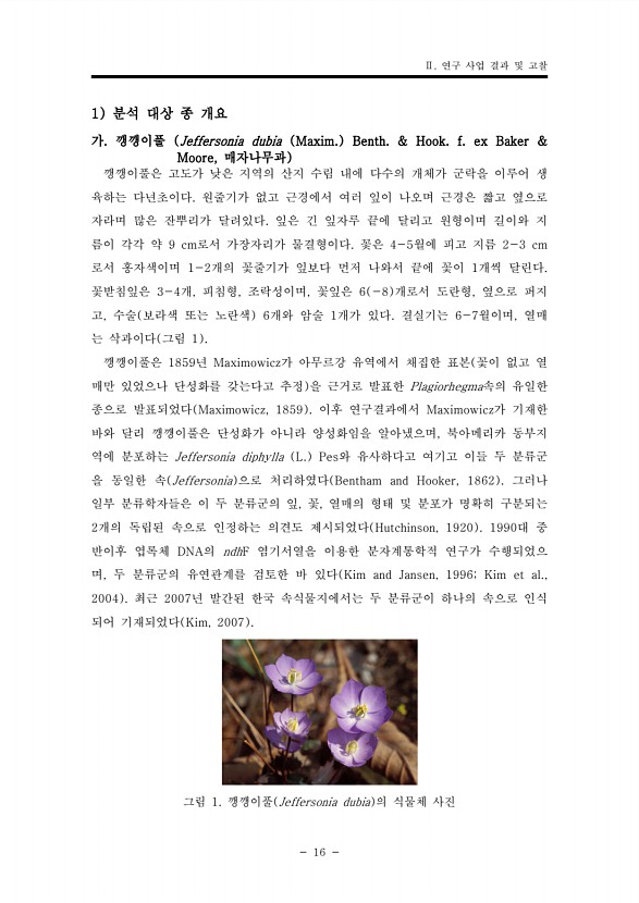 36페이지