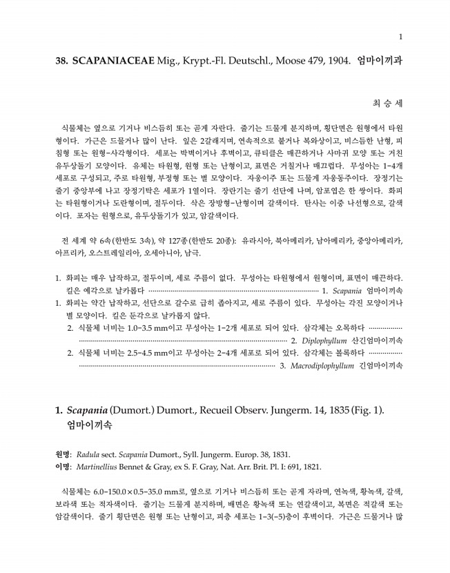 1페이지