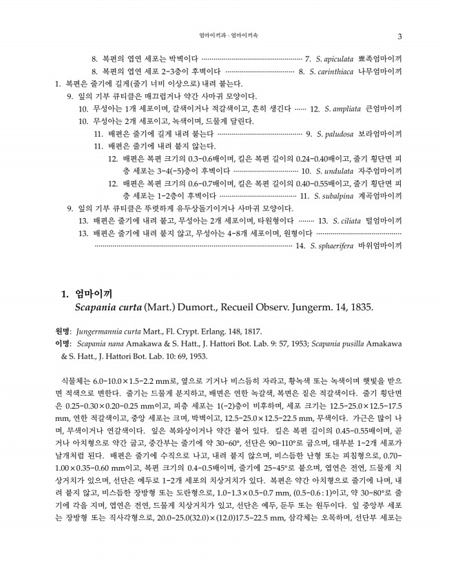 3페이지