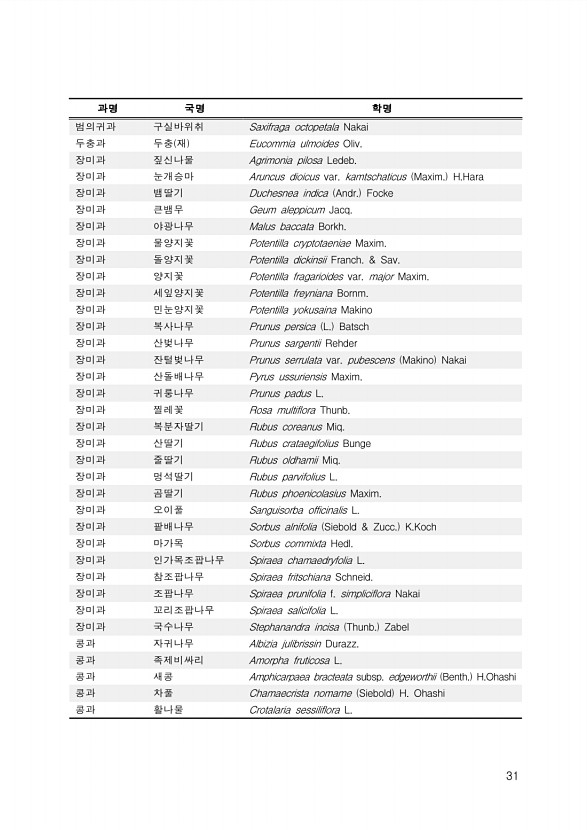 31페이지
