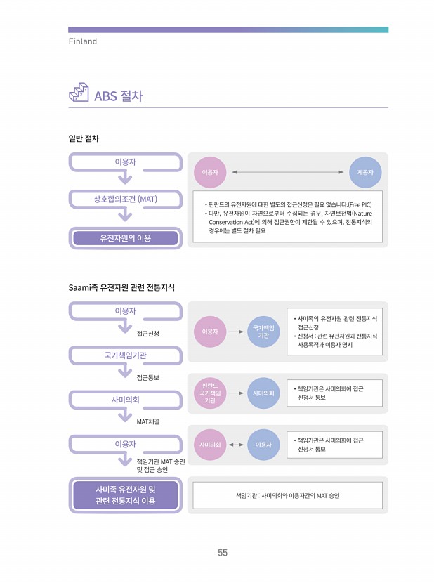 50페이지