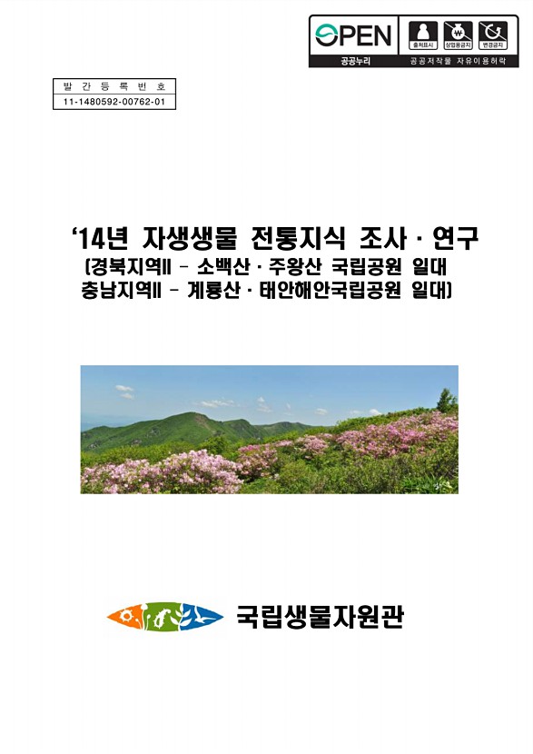 페이지