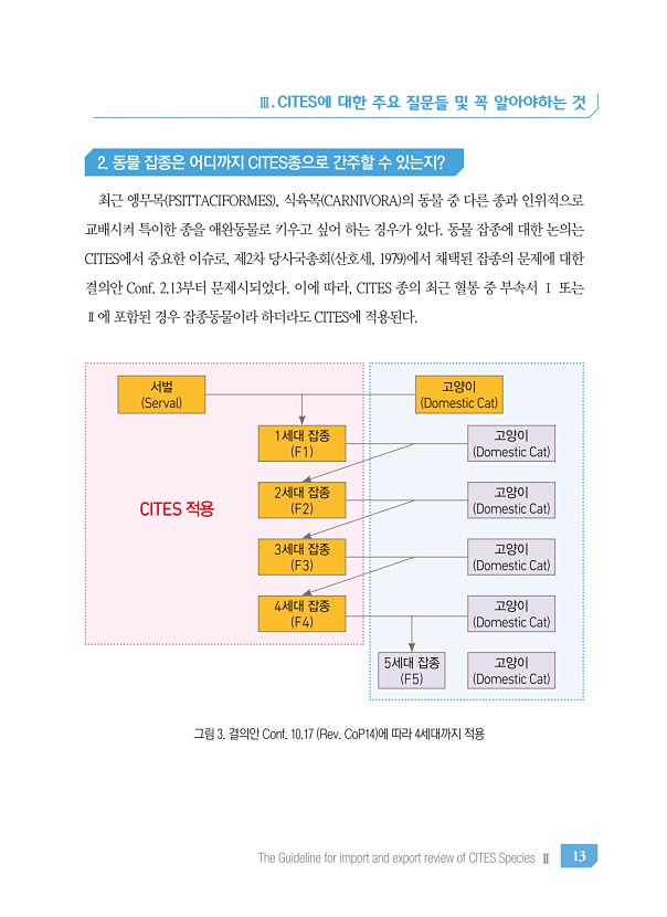 13페이지